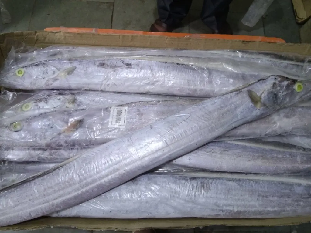 Ribbon Fish
